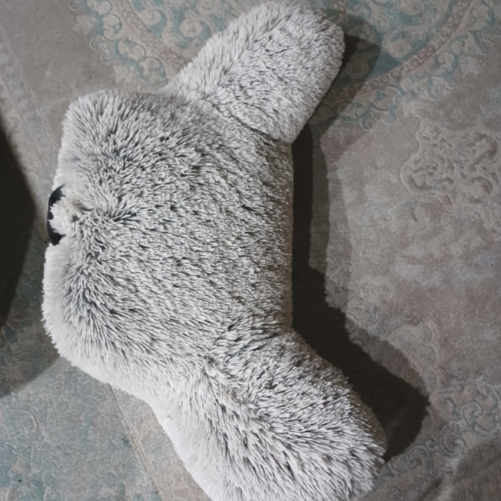 Back support pillow